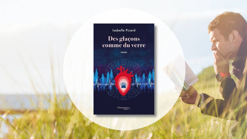 Recension du livre Des glaçons comme du verre d'Isabelle Picard