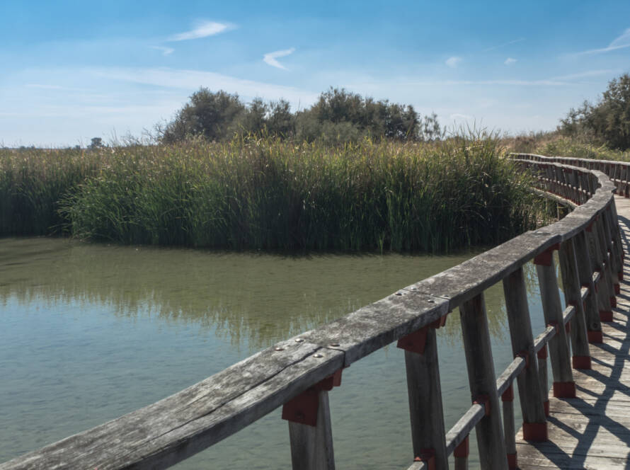 Une passerelle | Photo : Karl Oss Von Eeja/Pixabay